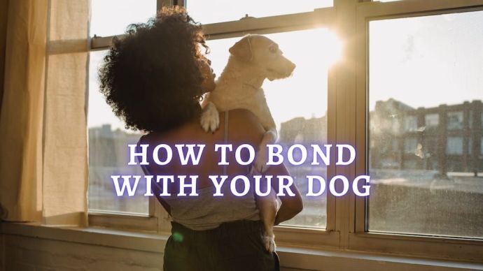 how to bond with your dog