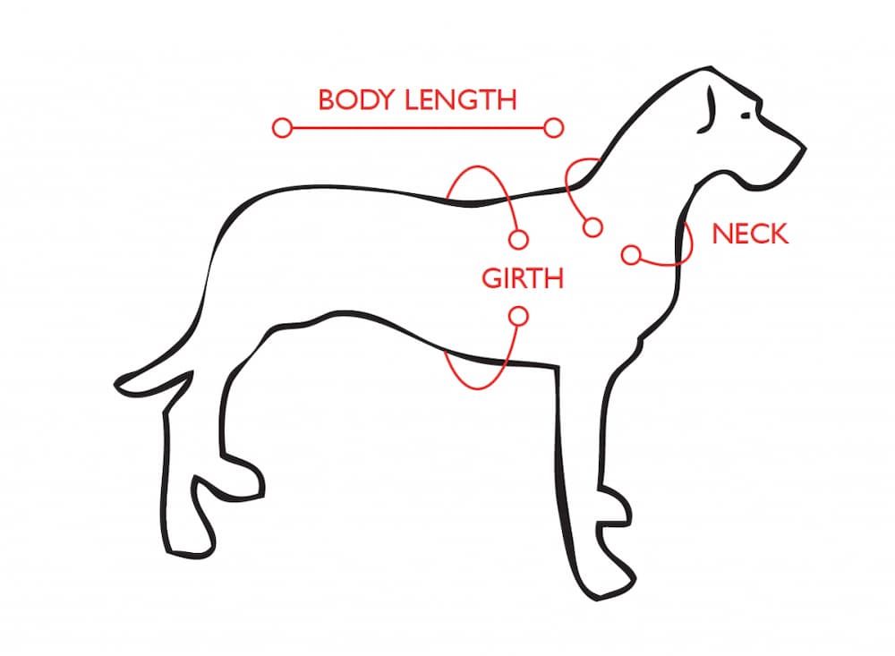 how to measure harness for my dog