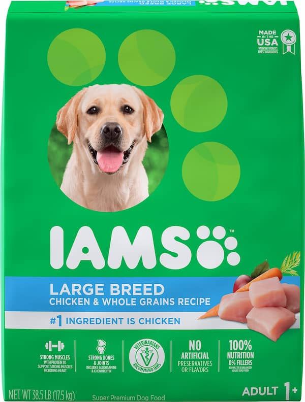 iams proactive health adult large breed dry dog food