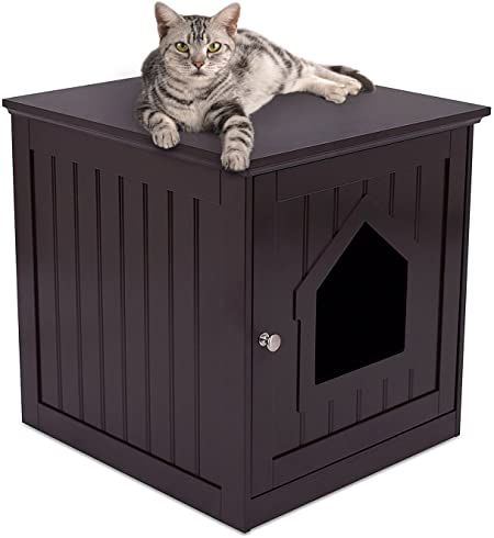 internets best decorative cat house