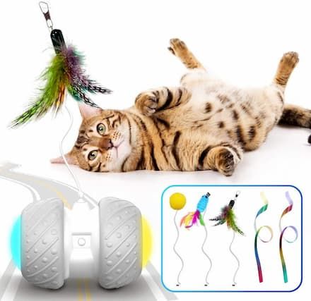 top rated cat toys