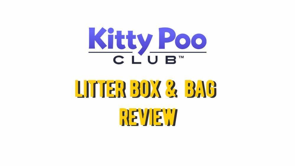 Kitty Poo Club Review Does Kitty Poo Club Good?