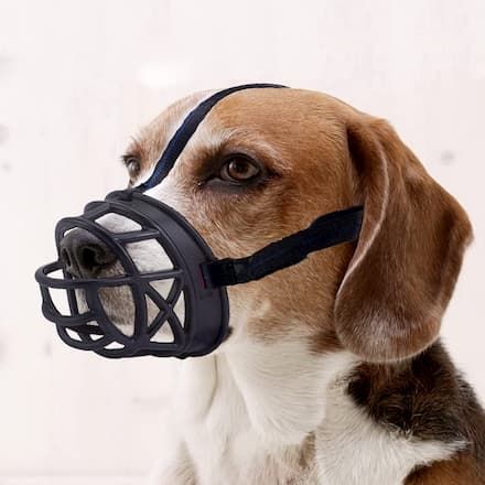 mayerzon dog muzzle