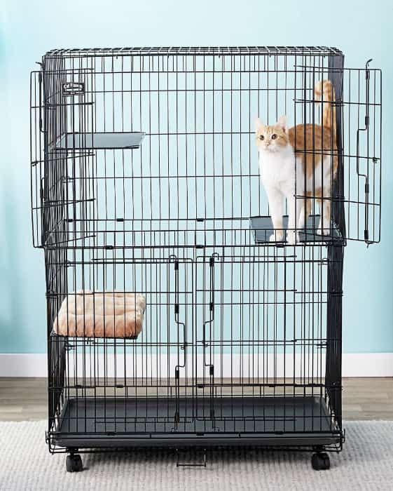 midwest collapsible wire cat cage playpen