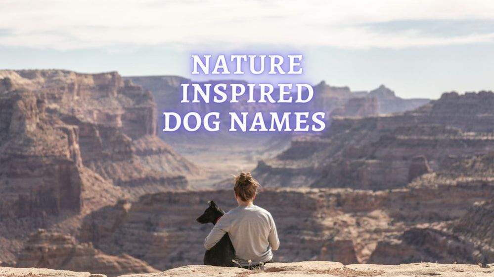 50 Nature Dog Names Nature Inspired Names For Your Dog   Nature Inspired Dog Names Large 