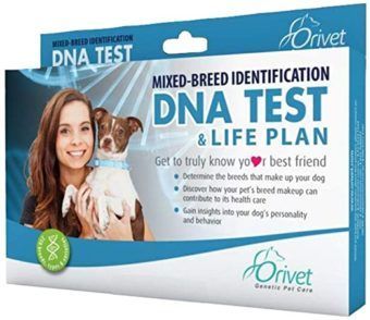 orivet dog breed identification dna test