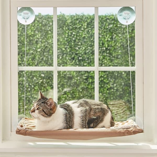 oster sunny seat cat window perch