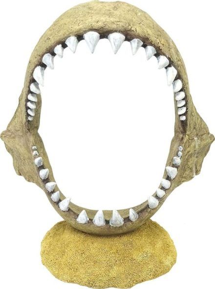 penn plax shark jaw aquarium ornament