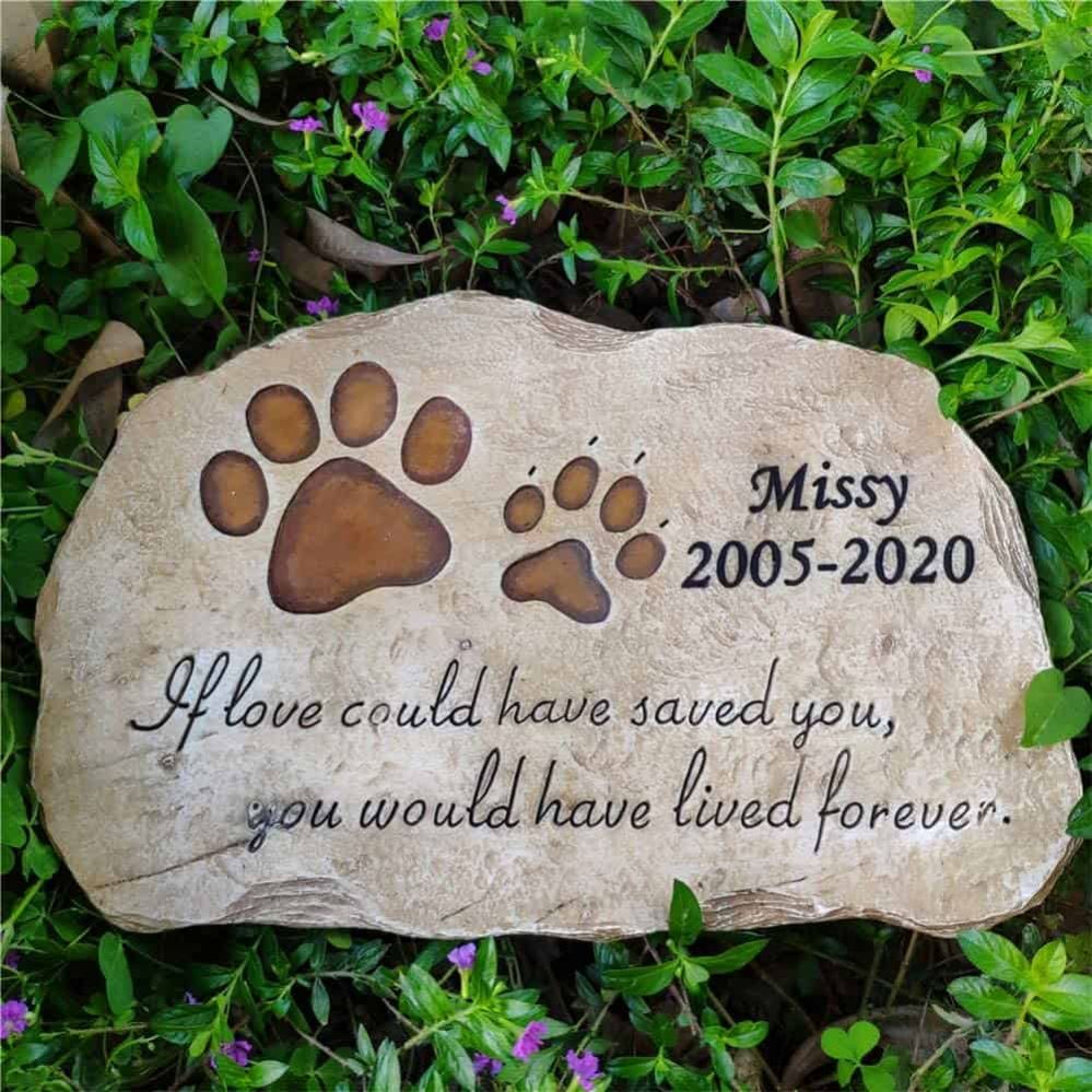 ᐉ Ways to Remember a Pet How to Immortalize Your Pet?