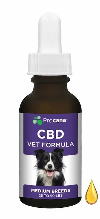 procana cbd oil vet formula medium dog breeds