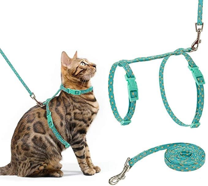 pupteck adjustable cat harness nylon strap collar with leash