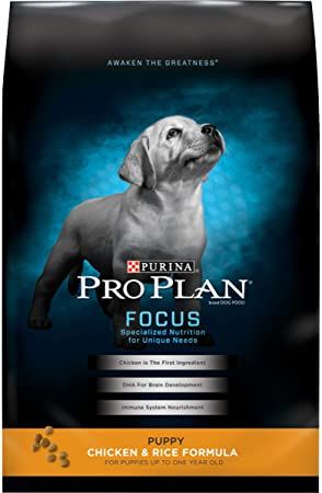 purina pro plan dry puppy food