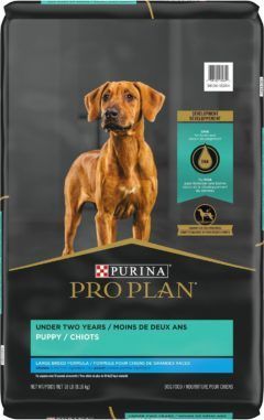 purina pro plan focus puppy chicken rice formula dry dog food