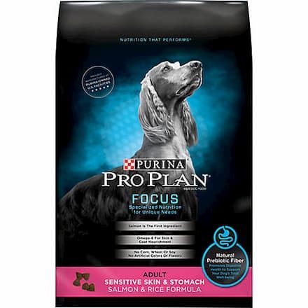 purina pro plan focus sensitive skin and stomach salmon and rice