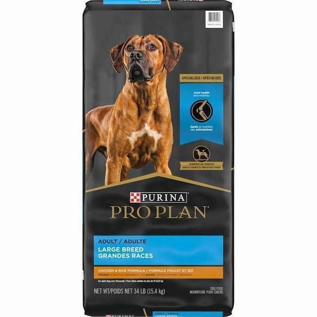  Best Large Breed Dog Food 10 Best Rated Dog Food For Large Breeds