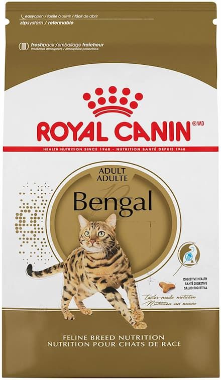 royal canin bengal breed dry cat food