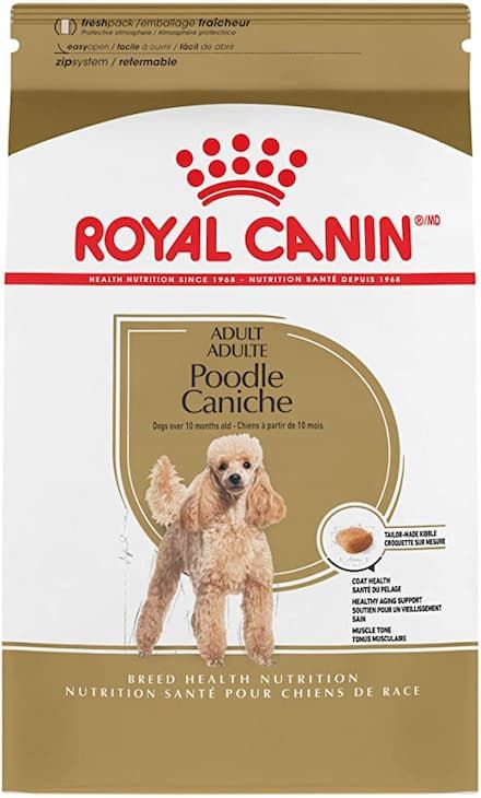 royal canin breed health nutrition poodle adult