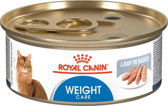 Best Cat Food For Weight Loss 15 Foods For Overweight Cats Reviews