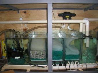 View of Saltwater Aquarium Filtration System: Reef Fish Tank Filter Types