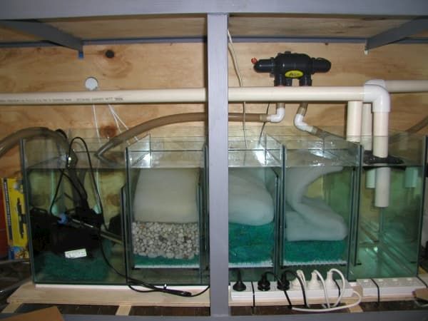 saltwater tank filtration setup