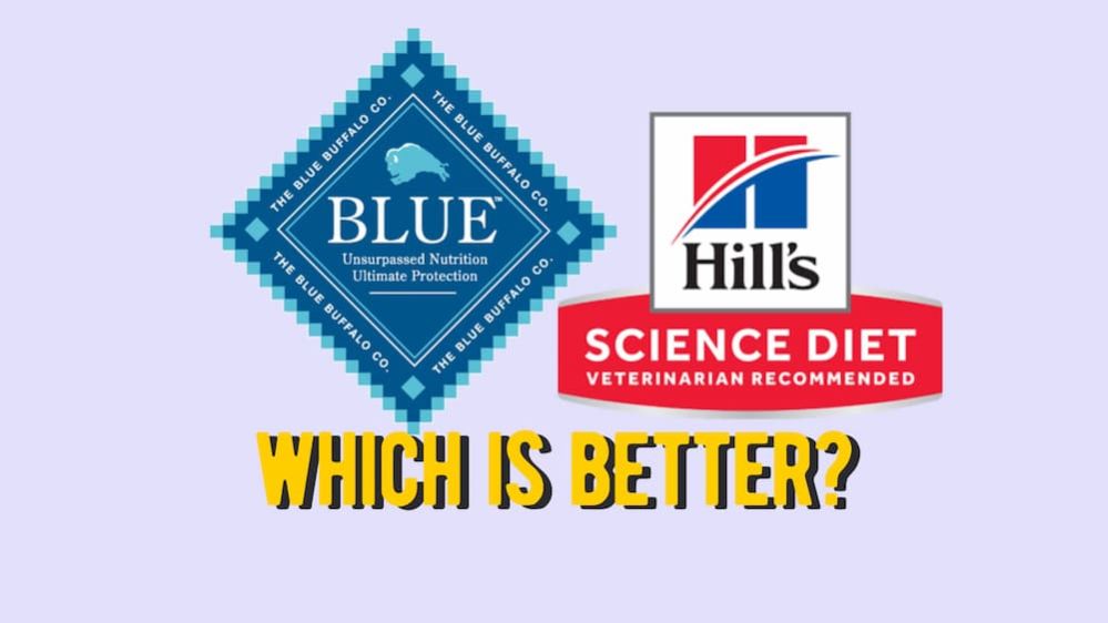 ≡ Hill's Science Diet vs Blue Buffalo Which Dog Food is Better?