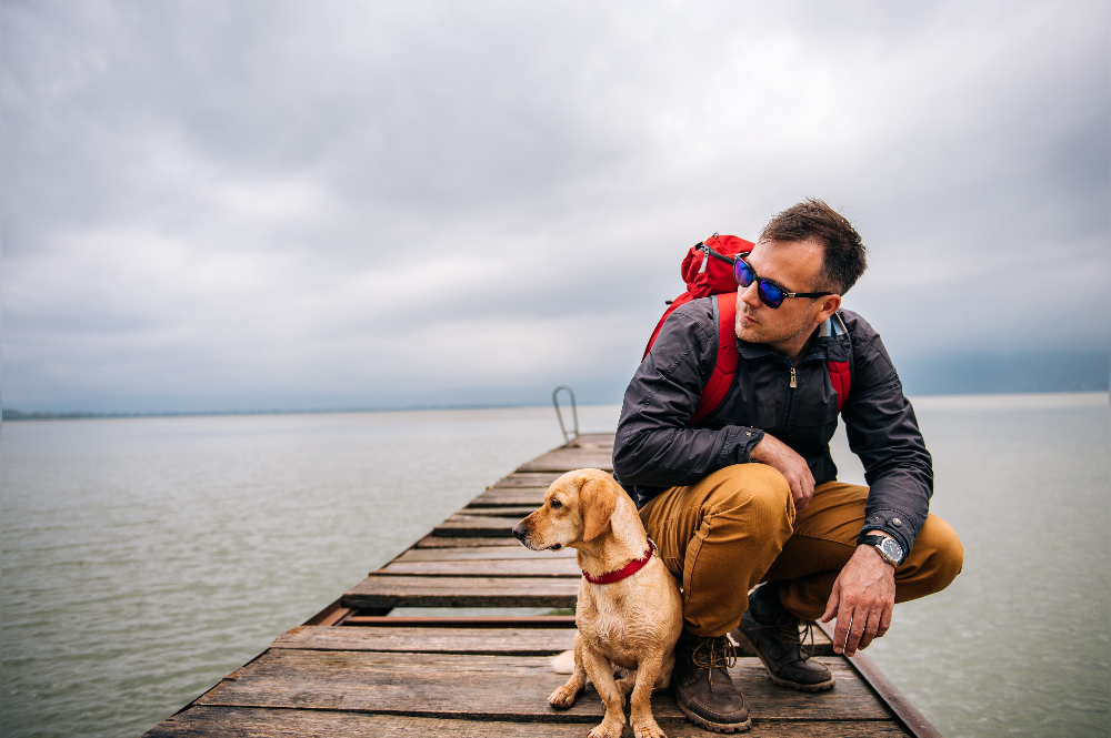 sea travel with your dog