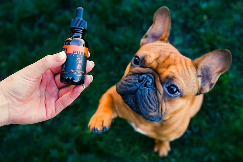 side effects of CBD oil in dogs