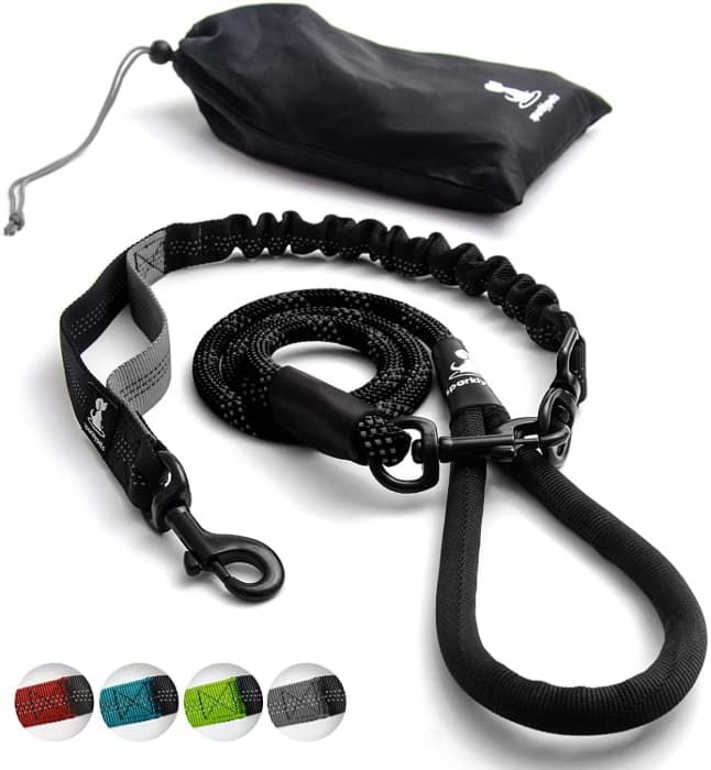 ᐉ Best Leash for Pitbull TOP Rated 10 Leashes for Pitbulls Reviews