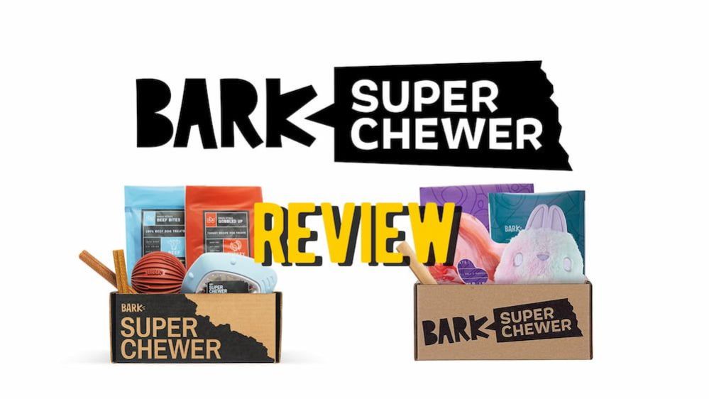 Super Chewer Box Review Durable Chew Toys Subscription Review