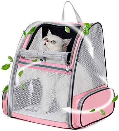 texsens innovative traveler bubble backpack pet carriers for cats and dogs