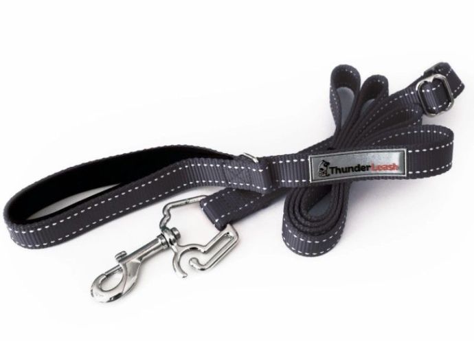 ᐉ Best Leash for Pitbull TOP Rated 10 Leashes for Pitbulls Reviews