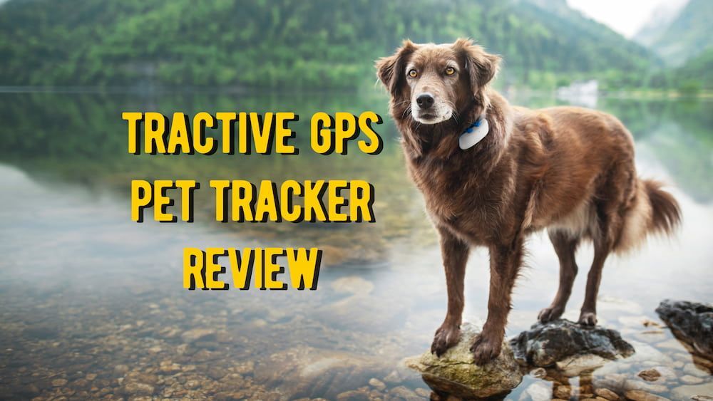 tractive pet gps tracker review