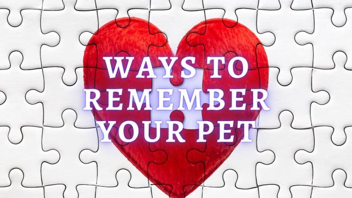ways to remember pet you lost