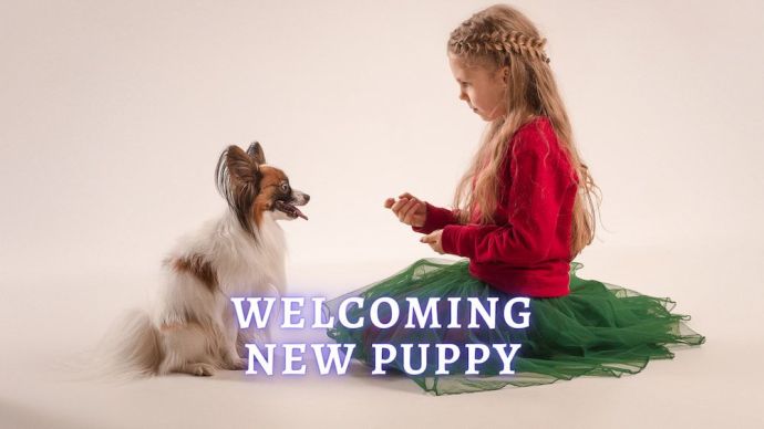 welcoming new puppy