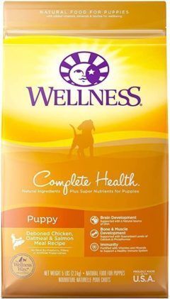 wellness complete health natural dry small sreed dog food
