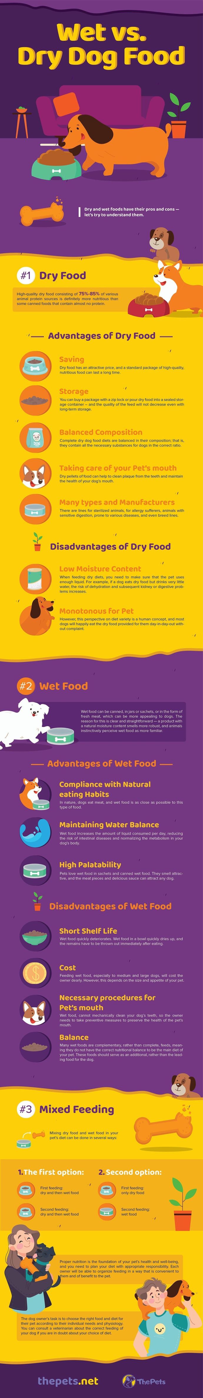 Dry vs Wet Dog Food【INFOGRAPHIC】 What type is the best?