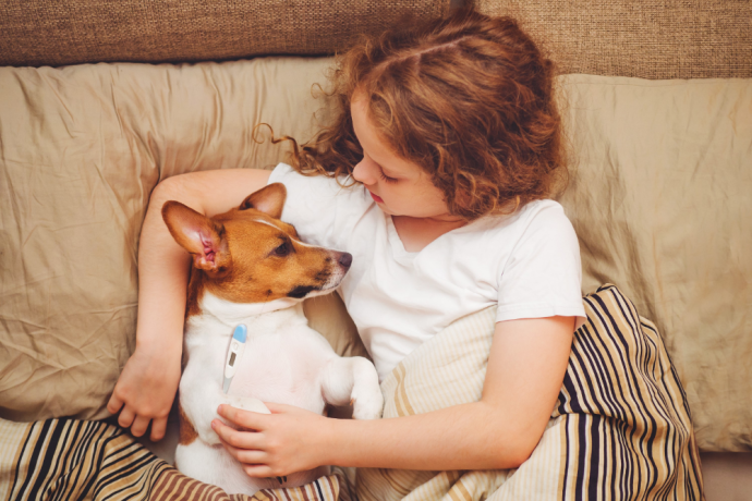 ᐉ Kidney Care for Dogs: How to improve dog's kidney health?