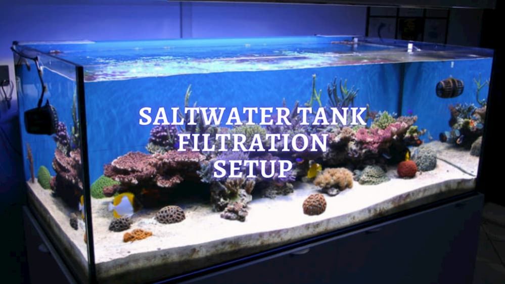 marine aquarium filter