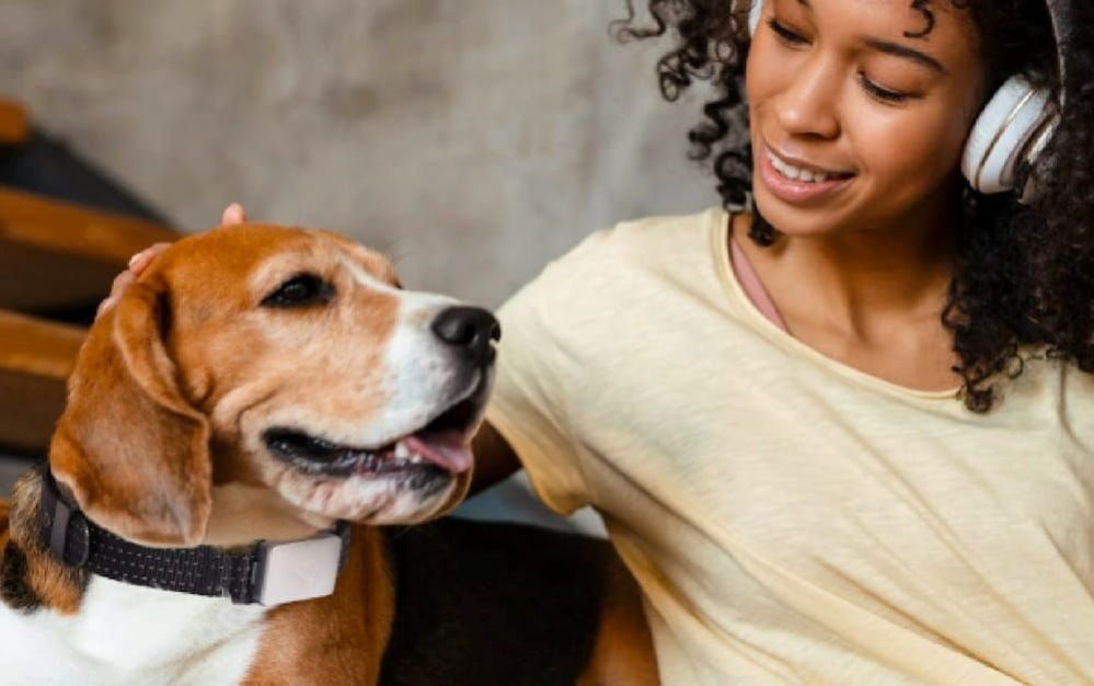 Whistle Dog Tracker Whistle GPS Pet Tracker Review