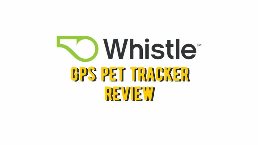 Whistle Dog Tracker Whistle GPS Pet Tracker Review